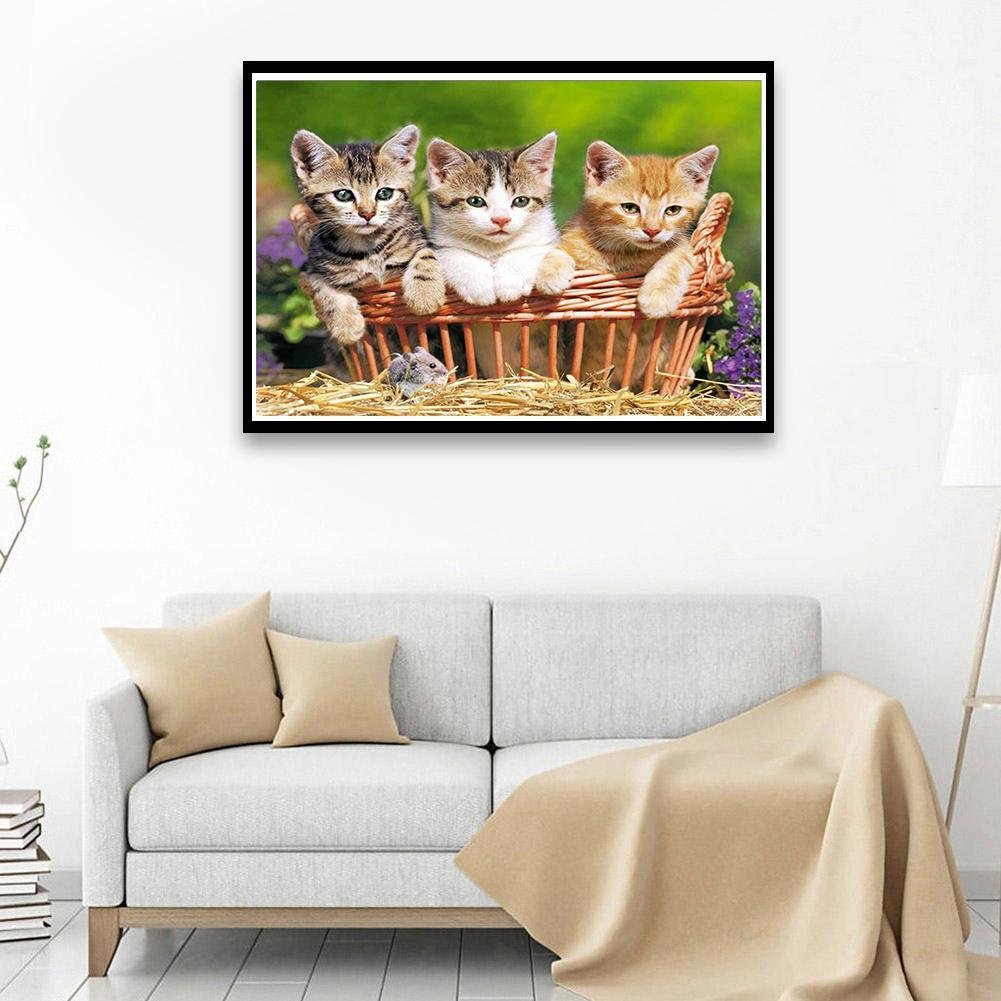 Kit de pintura de diamantes 5D DIY - Ronda completa - Tres gatos / gatitos encantadores