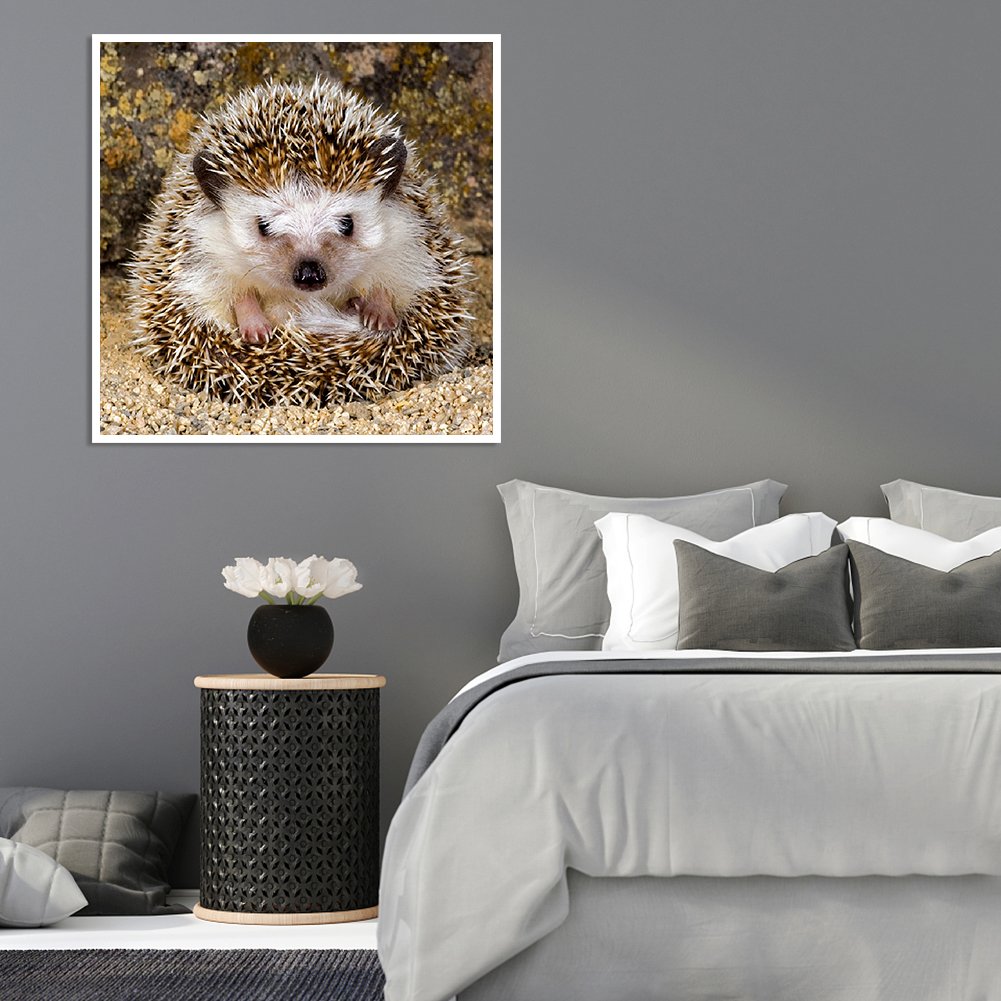 Diamond Painting - Full Round - Hedgehog