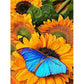 butterfly on sunflower diamond painting