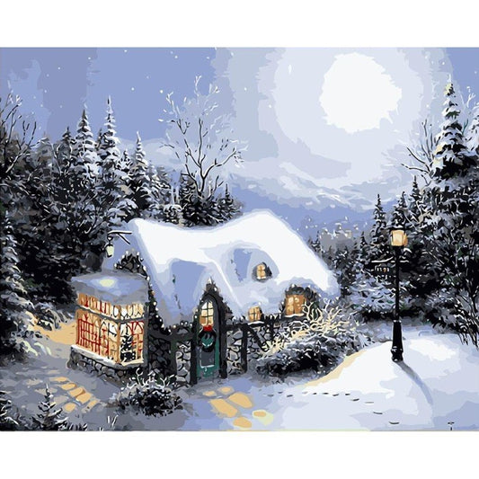 Paint By Number Oil Painting Color Drawing Art Picture Beauty Snow