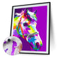 Hand Painted Artwork Frameless DIY Color Horse Painting By Numbers Kit