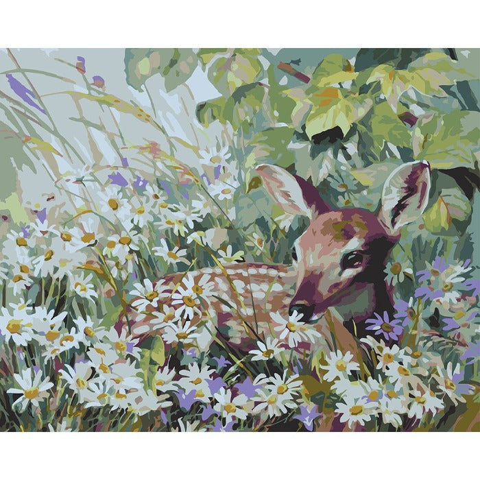 DIY Oil Painting By Number Picture Hand Painted Acrylic Canvas Cute Deer