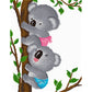 11ct Stamped Cross Stitch Koala (47*57cm)