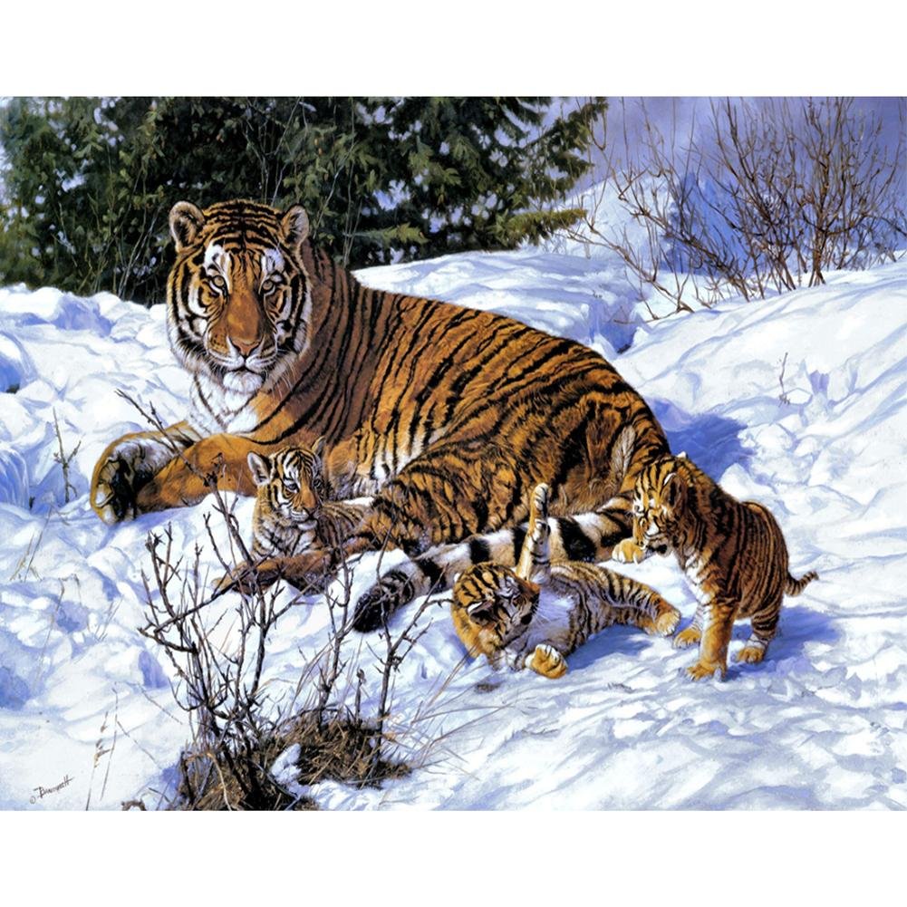 Paint By Number Oil Painting Tiger Snow (40*50cm)