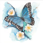 DIY 5D Crystal Rhinestone Diamond Painting Kit Butterfly (40*40cm)