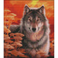 14ct Stamped Cross Stitch Wolf (44*49cm)