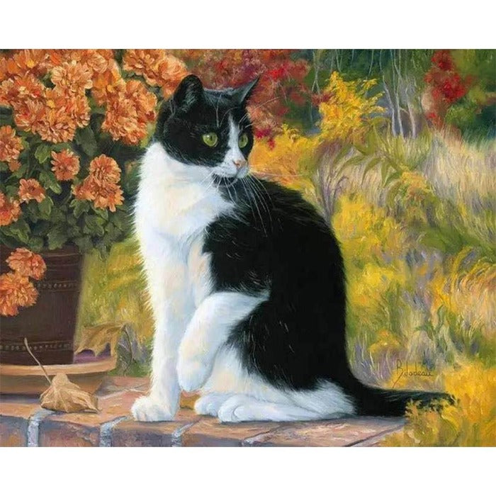 DIY Oil Painting By Number Picture Hand Painted Drawing Acrylic Canvas Black Cat