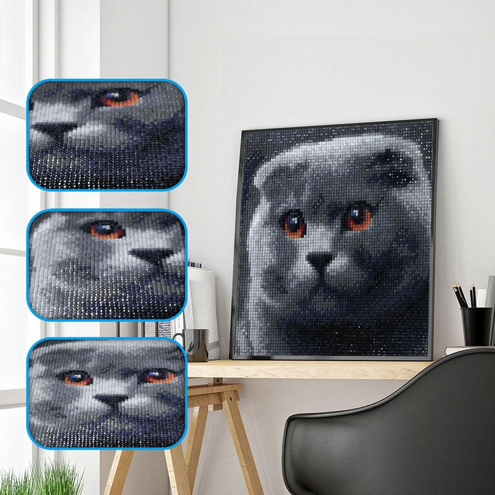 Kit de pintura de diamante DIY 5D - quadrado completo - gato cinza