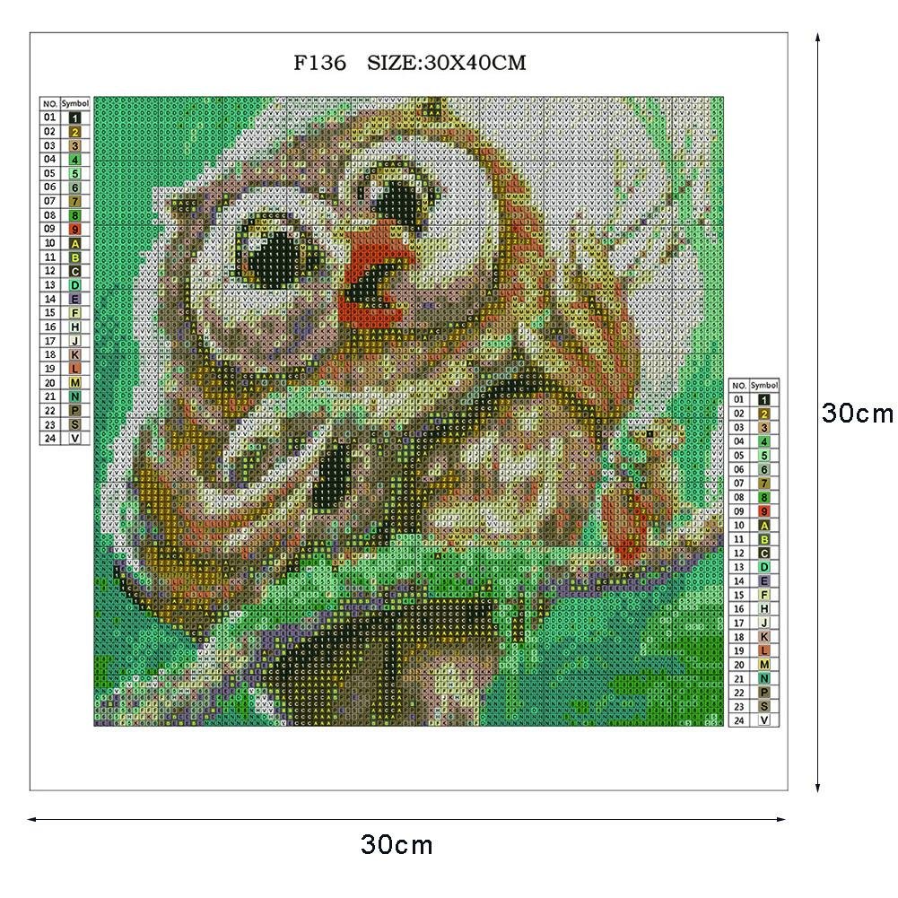Diamond Painting - Full Square - Musician Owl