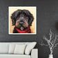 Pintura de diamante DIY 5D - rodada completa - adorável cachorro preto