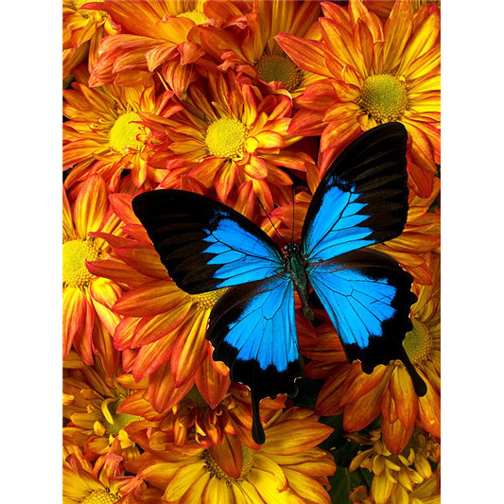 flower and butterfly diamond painting