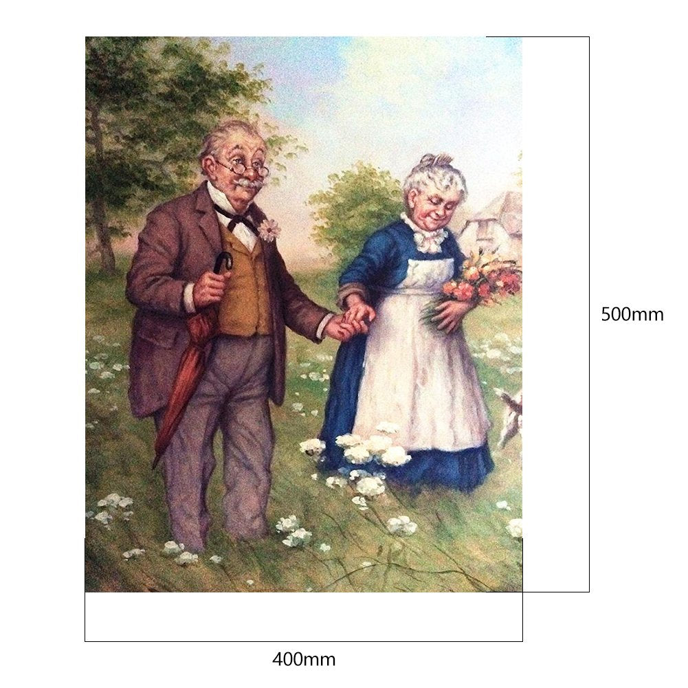 Pintar por número - pintura a óleo - doce casal de idosos (40 * 50 cm)