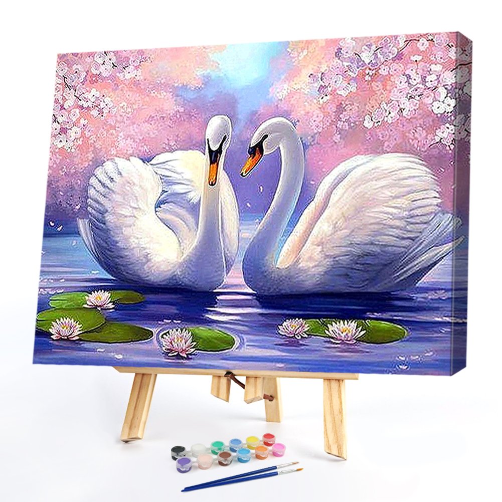 Paint By Number - Oil Painting - Swan (50*40cm)