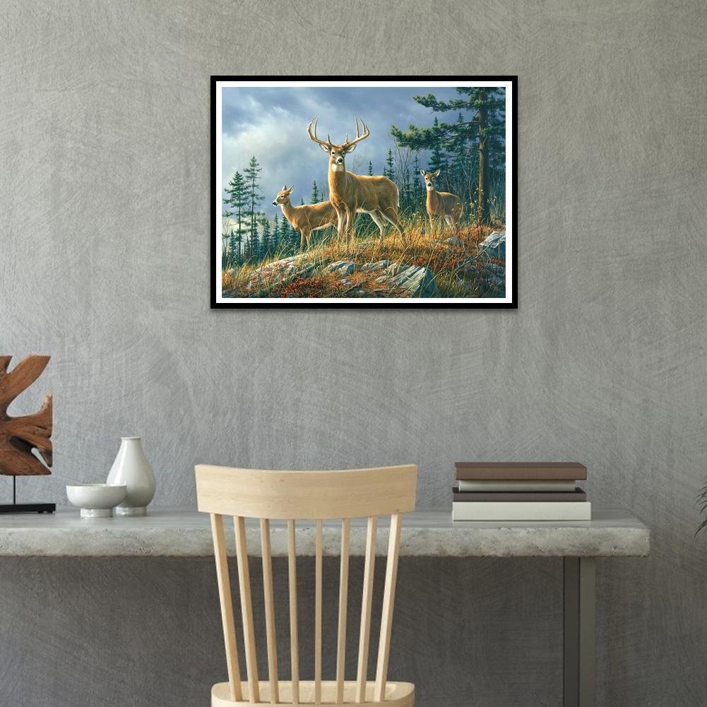 Pintura Diamante - Rodada Completa - Forest Deer B