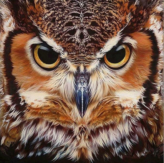 Diamond Painting - Full Round - Owl 1