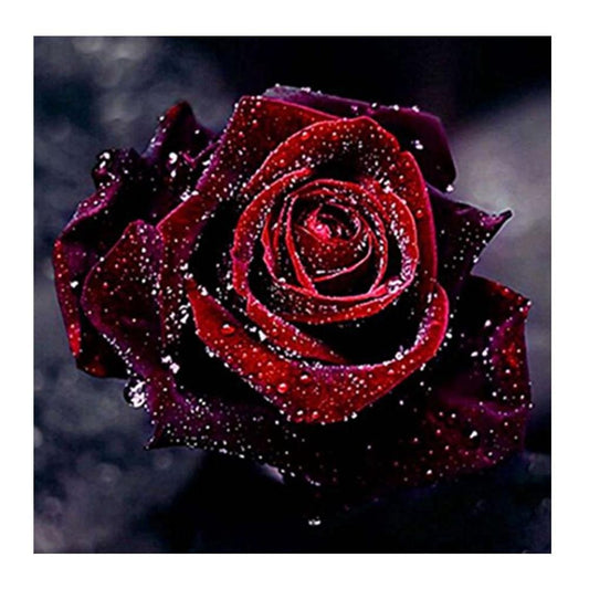 Pintura Diamante - Redondo Parcial - Rosa Vermelha