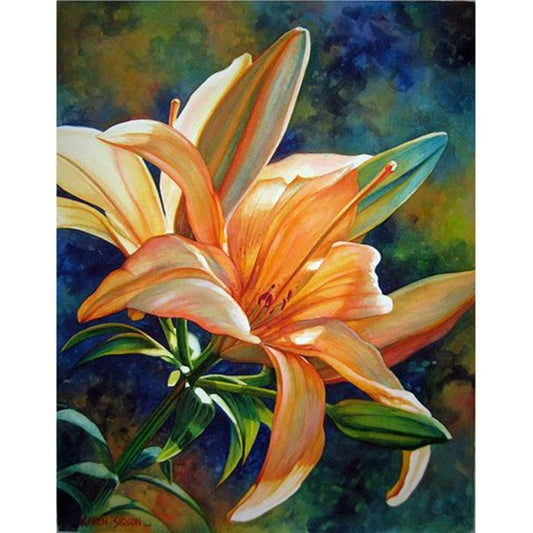 Special Flower 40x50cm Oil Paint By Numbers Picture DIY Painting