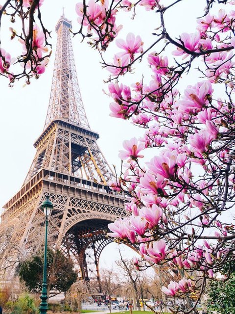 Diamond Paintings Art Eiffel Tower with flowers