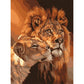 Paint By Number Oil Painting Snuggle Lions (40*50cm)