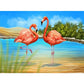 Flamingo By The Lake Oil Painting By Numbers Kit