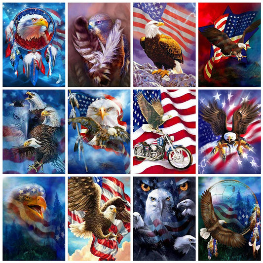 Diamond Paintings Art Full Drill US Flag Eagle