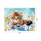 Digital Oil Painting Kit Coded Hand Painted Picture Cat in Basket Pattern