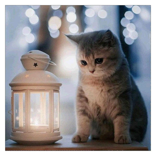 Pintura de diamantes - Redondo completo - Lámpara de gato