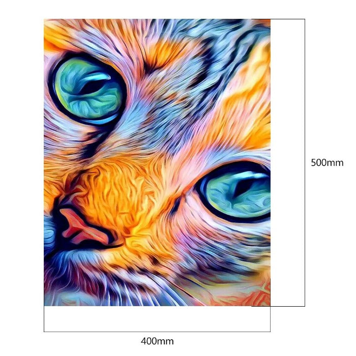 Cat 40x50cm Oil Paint By Numbers Picture DIY Painting