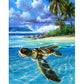 Paint By Number Oil Painting Sea Turtle (40*50cm)
