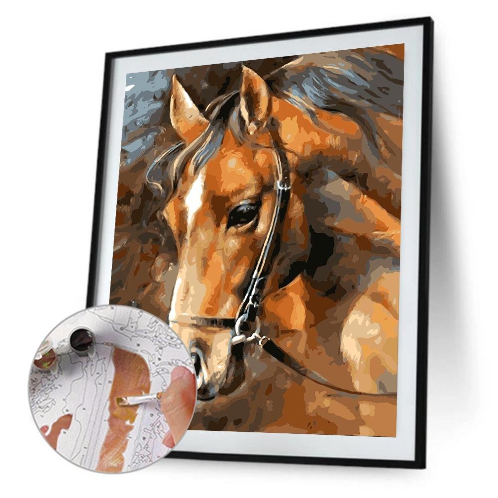 Paint By Number - Oil Painting - Sad Horse (40*50cm)