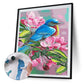 Pintura por Número - Pintura al Óleo - Pájaro de Primavera (40*50cm)