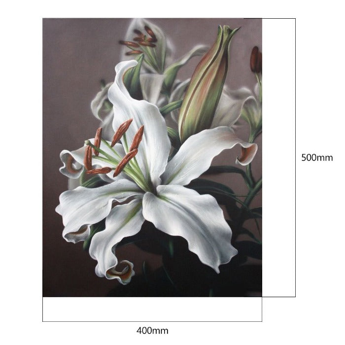 Special Flower 40x50cm Oil Paint By Numbers Picture DIY Painting