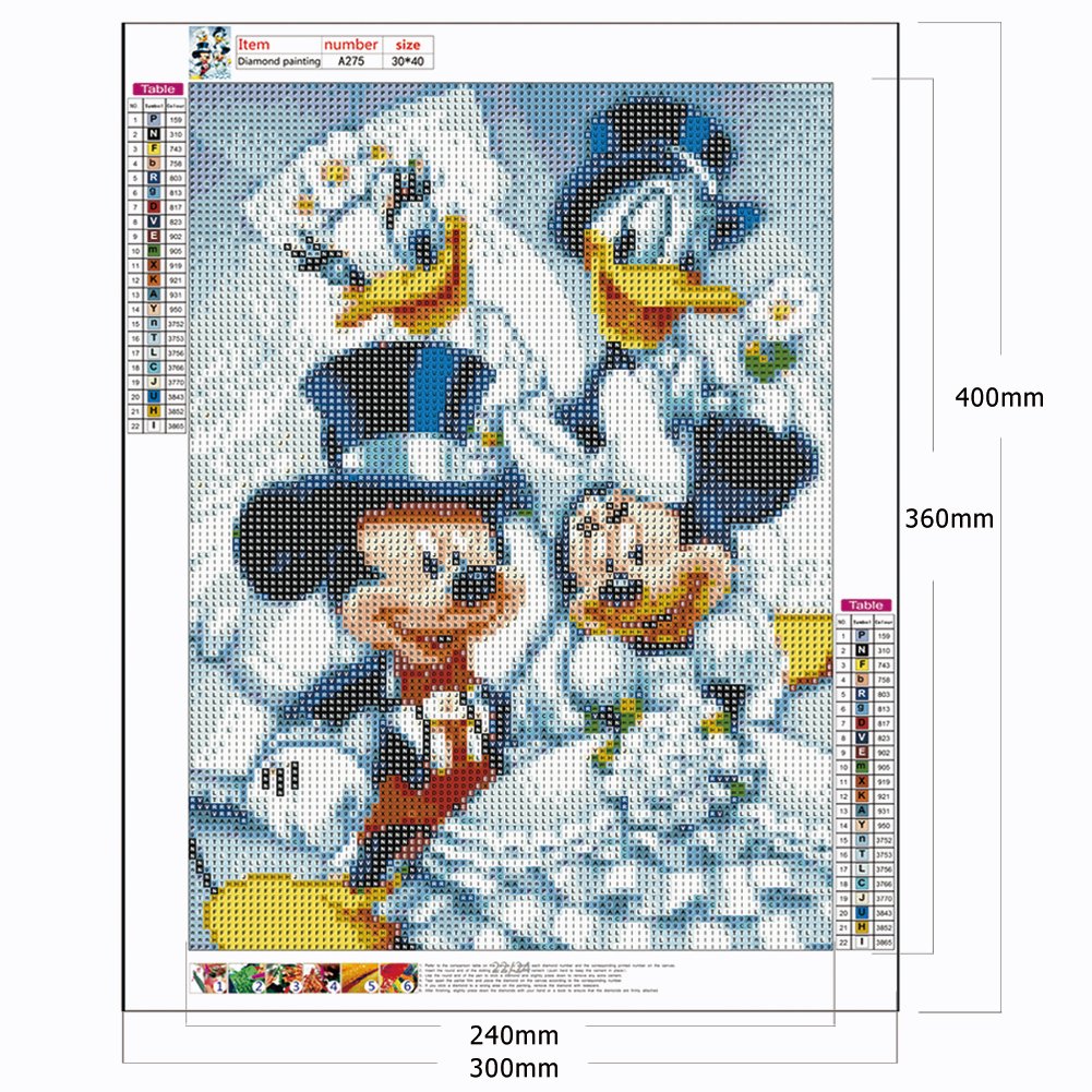 Pintura Diamante - Rodada Completa - Casal Disney