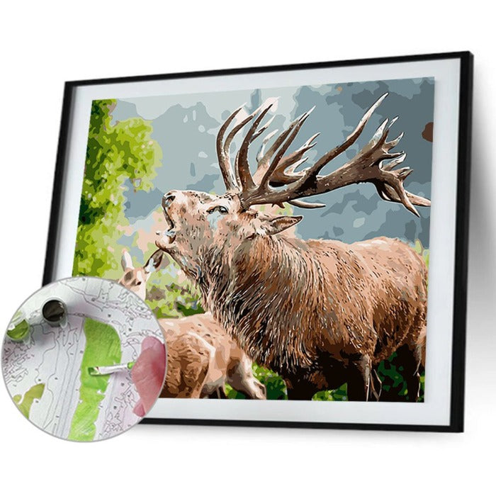 DIY Digital Oil Painting By Numbers Kits Deers Canvas Acrylic Color Drawing