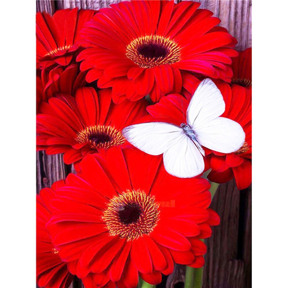 spring diamond painting white butterfly on red flower