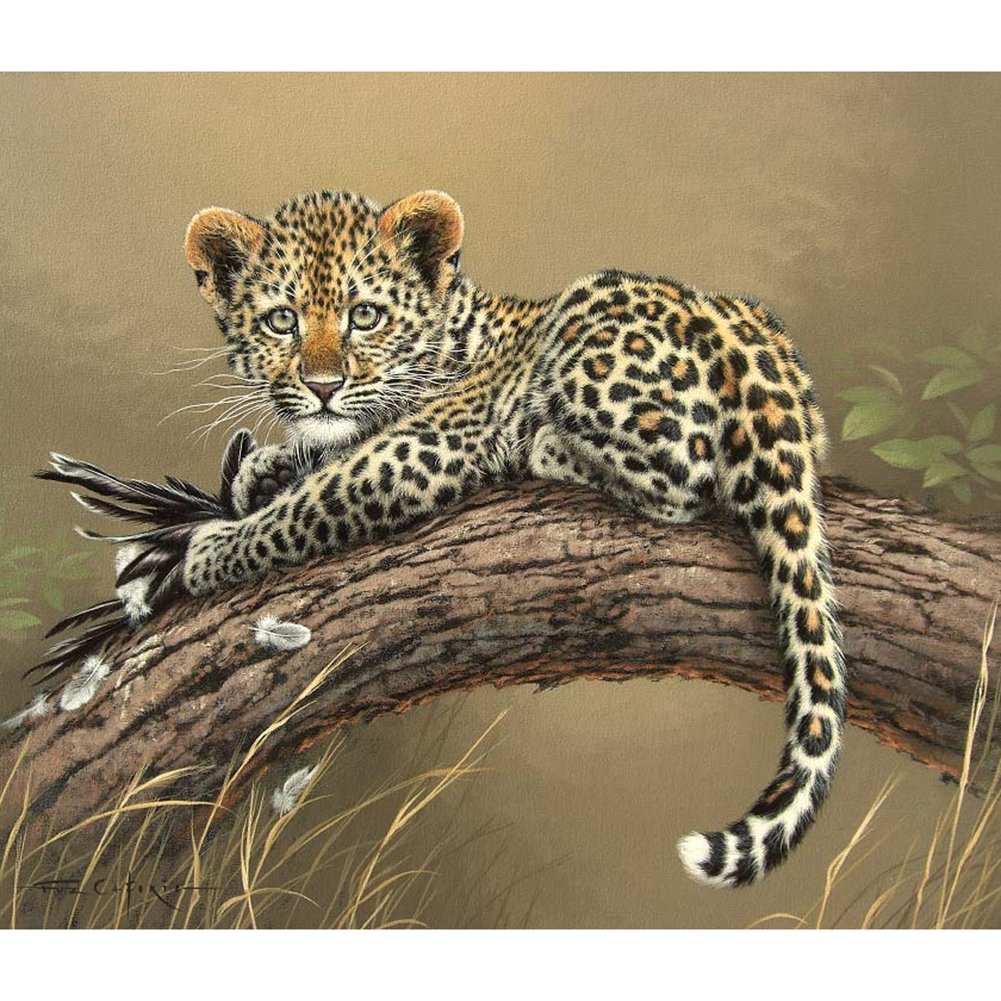 Pintura de diamante - Ronda completa - Leopardo