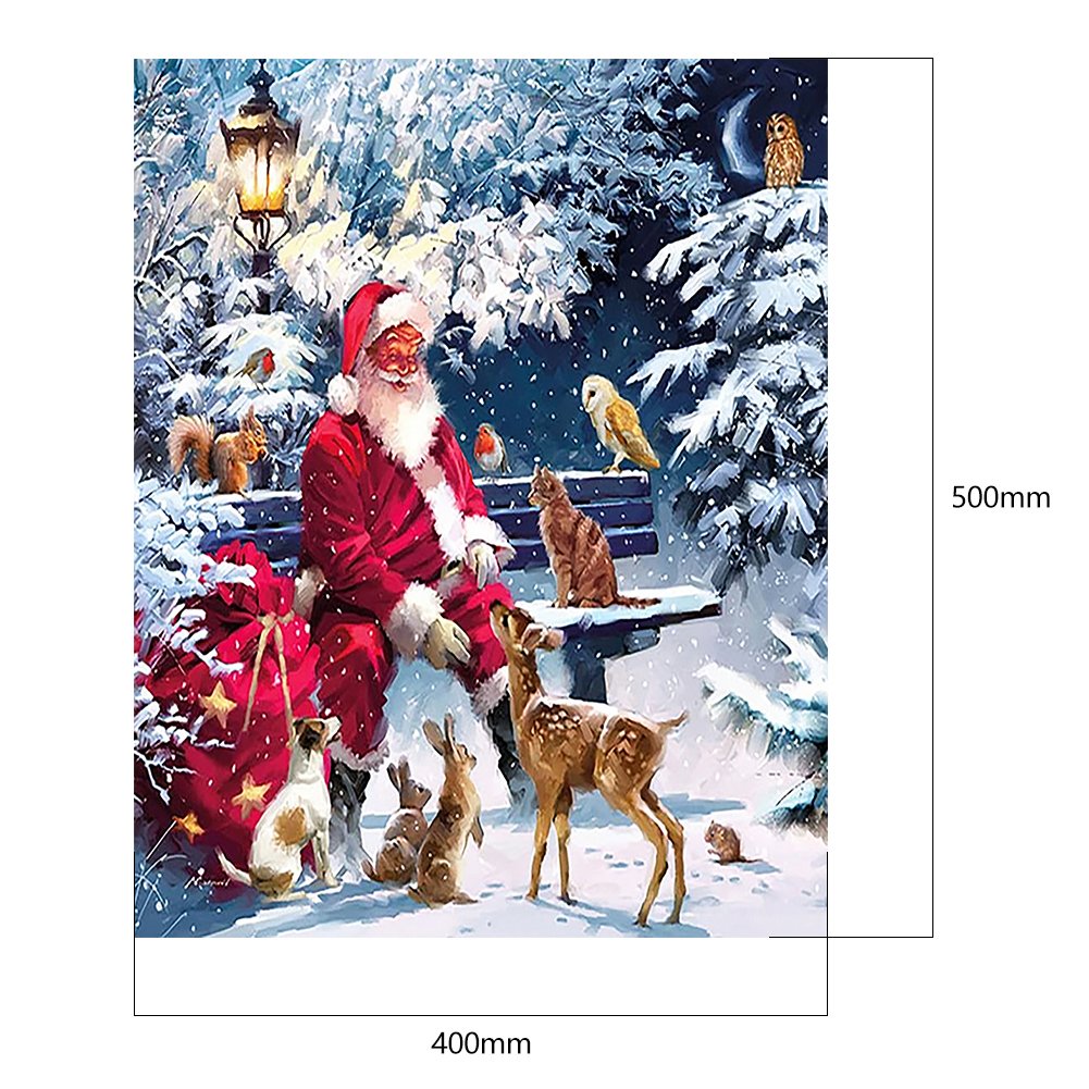 Paint By Number - Oil Painting - Santa Claus (40*50cm) A