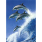 Dolphins surfing Diamond Paintings