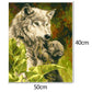 Paint By Number - Oil Painting - Wolf (40*50cm)