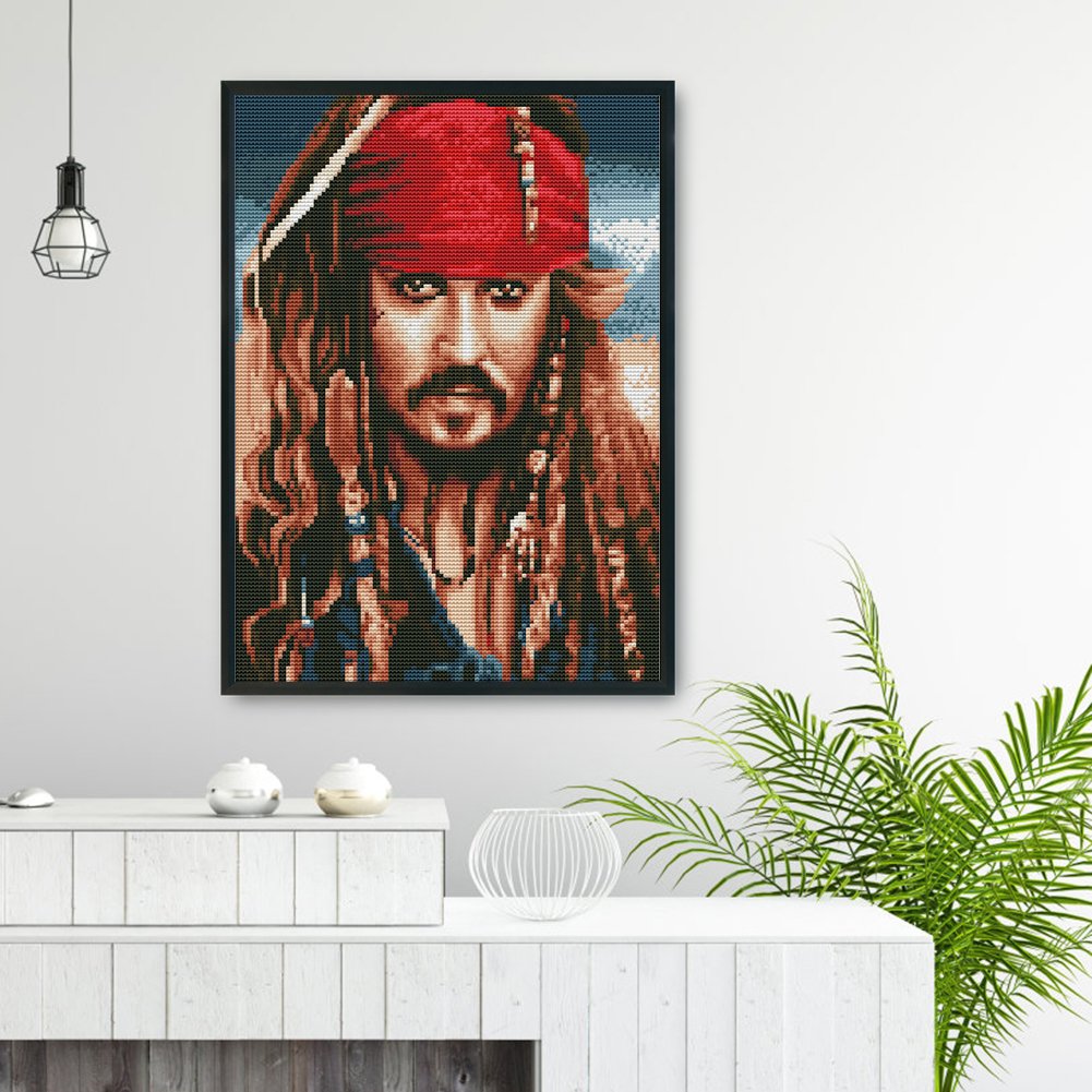 11ct Stamped Cross Stitch Aspirant Pirate(30*40cm)