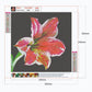 Diamond Painting - Full Round - Lily Flower A
