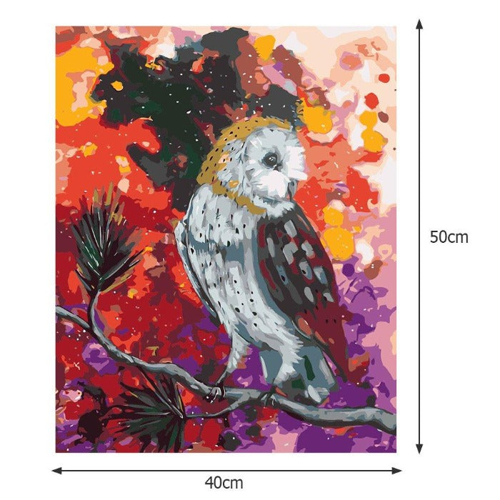 Cosmic Owl Acrylic Painting By Numbers Canvas Size