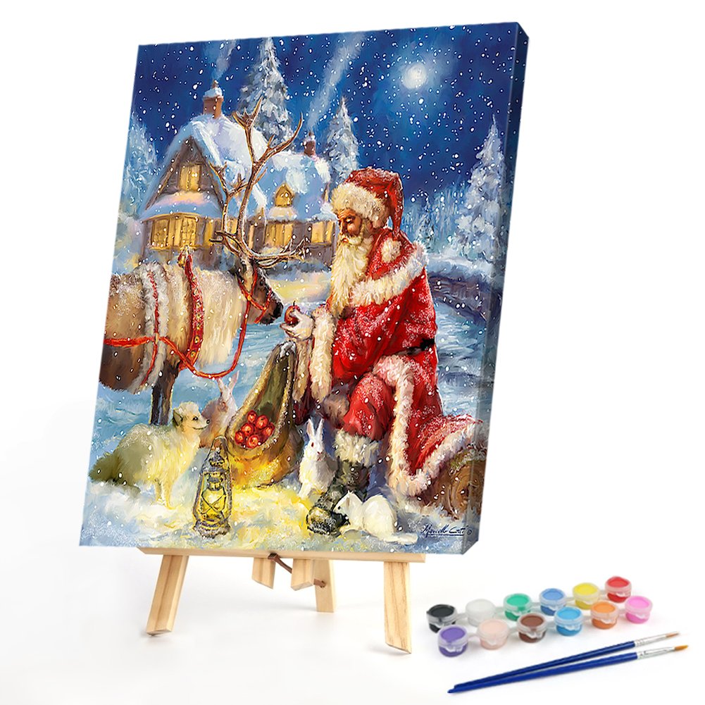 Paint By Number - Oil Painting - Santa Claus (40*50cm) C