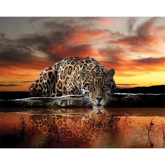 Painting By Numbers Kit DIY Lonely Leopard Hand Painted Canvas Oil Art Picture