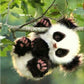 diamond painting little panda climbing tree