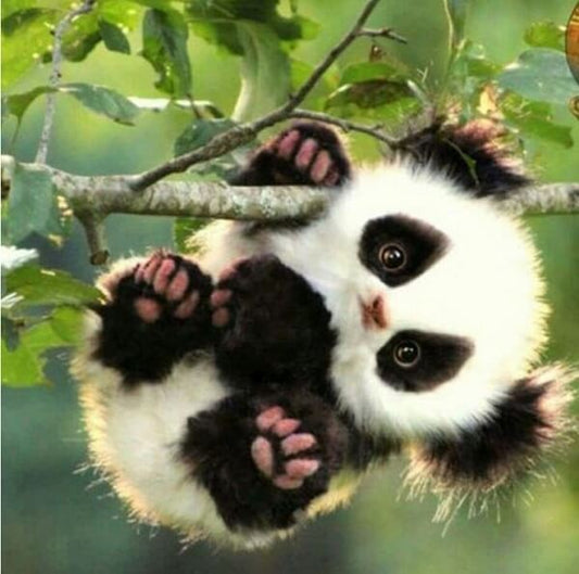 diamond painting little panda climbing tree