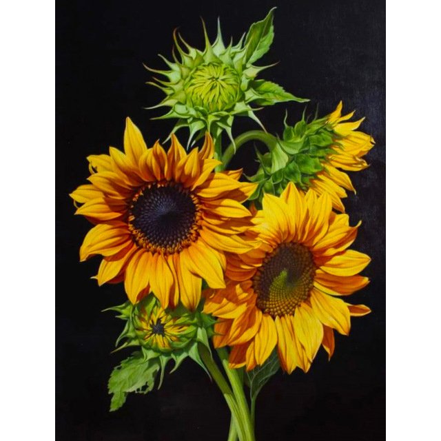 Diamond Paintings Art Full Drill Sunflower