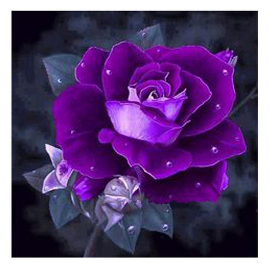 5D Diy Diamond Beads Art Full Square Resin Purple Rose