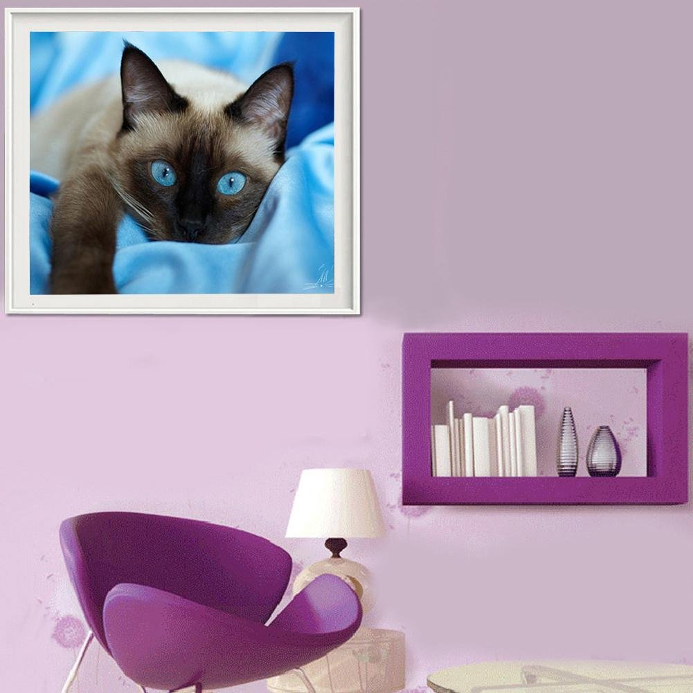 Kit de pintura de diamantes 5D DIY - Redondo completo - Gato de ojos azules