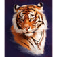 Tiger Diamond Mosaic Embroidery Kit 